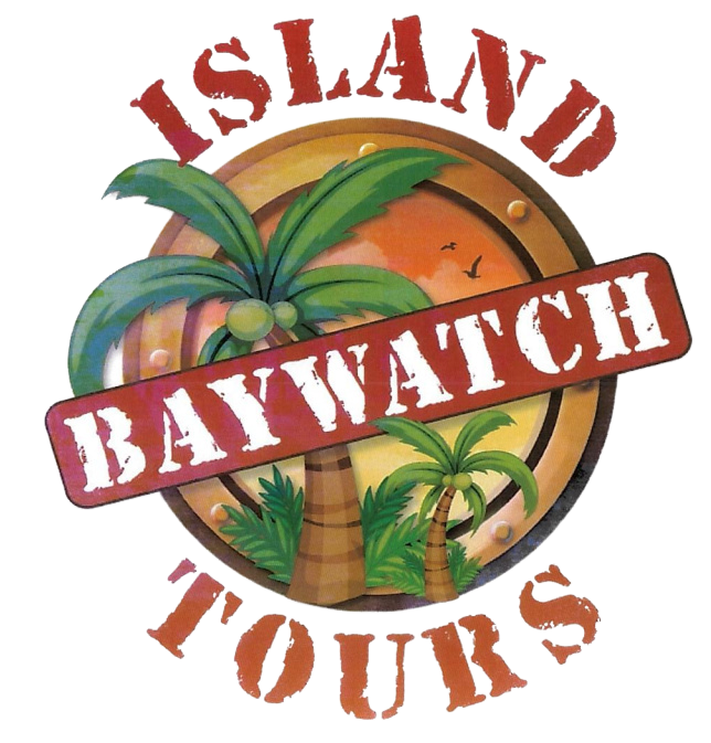 Baywatch Island Tours by bus