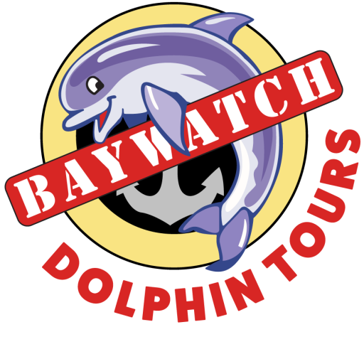 Galveston Dolphin Watching Tours | Harbor Tours in Galveston, TX